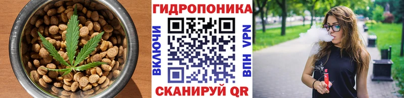 Купить закладки  Аргун  Печенье с ТГК марихуана 