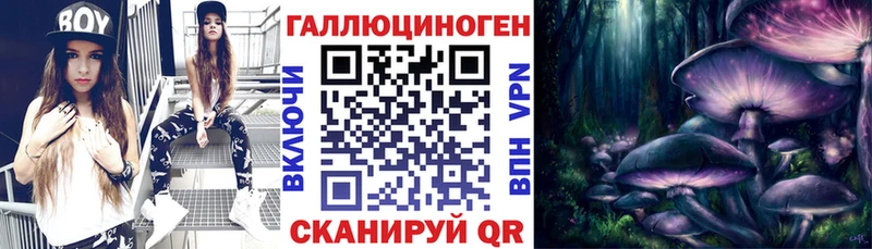 Купить закладки Аргун Псилоцибиновые грибы Psilocybe